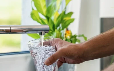 Ensuring Water Quality in Your Home