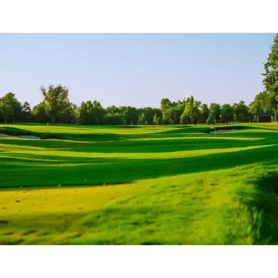 Lush green golf course with trees.