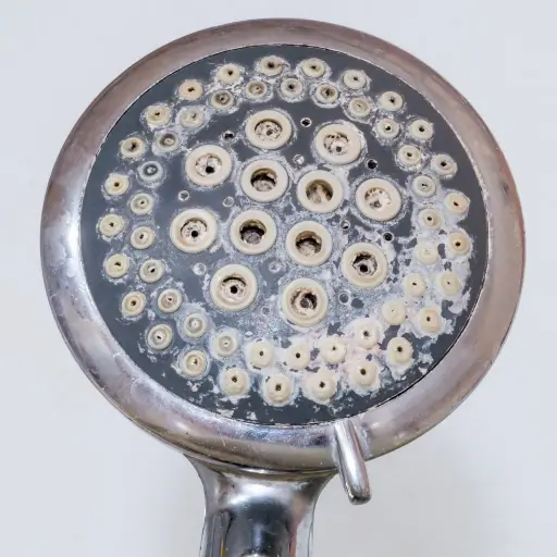 Closeup of showerhead with mineral buildup
