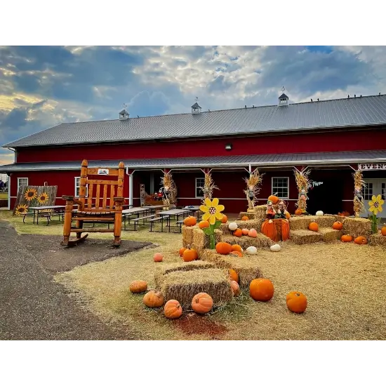 Fall farm scene with pumpkins and barn at Orr Family Farm in Moore, OK.