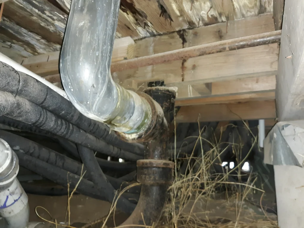 Damaged pipes under building with moldy wood