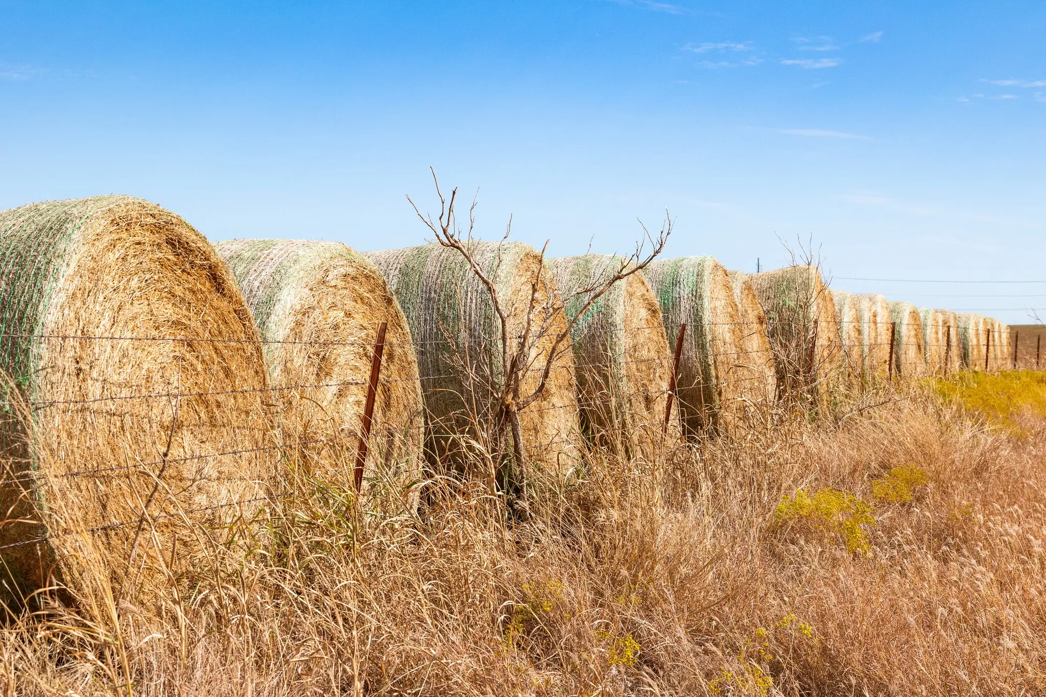 Round hay bales in a sunny field in Piedmont, OK.